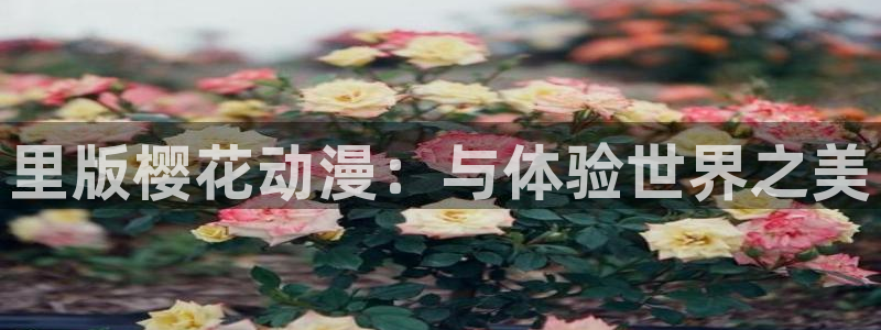 omofun下载ios：里版樱花动漫：与体验世界之美