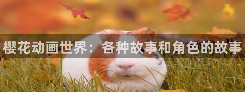 omofun网页版怎么没了：樱花动画世界：各种故事和角色的故事
