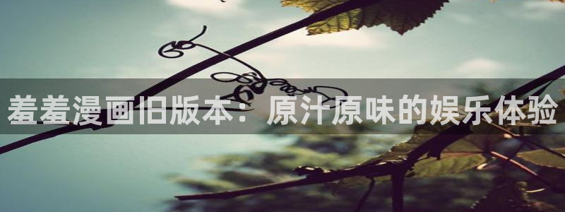 https://omofun：羞羞漫画旧版本：原汁原味的娱乐体验