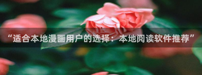 omofun纯净版下载：“适合本地漫画用户的选择：本地阅读软件推荐”
