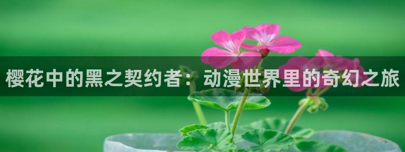 omofun注册：樱花中的黑之契约者：动漫世界里的奇幻之旅