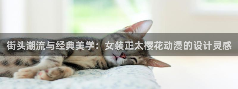 里番动漫网址：街头潮流与经典美学：女装正太樱花动漫的设计灵感