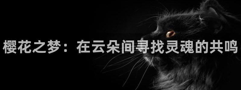 omofun下载方法：樱花之梦：在云朵间寻找灵魂的共鸣
