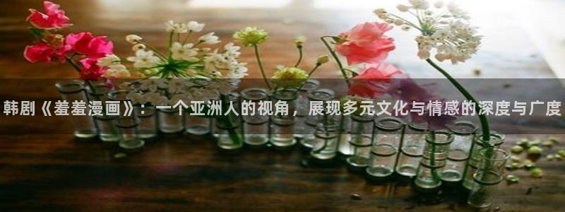 omofunapp官网：韩剧《羞羞漫画》：一个亚洲人的视角，展现多元文化与情感的深度与广度