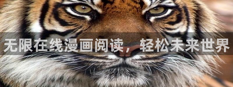 omofun动漫官方官网：无限在线漫画阅读，轻松未来世界