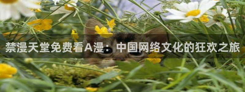 omofun动漫王国：禁漫天堂免费看A漫：中国网络文化的狂欢之旅