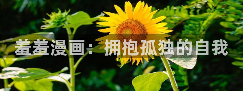 omofun下载方法：羞羞漫画：拥抱孤独的自我