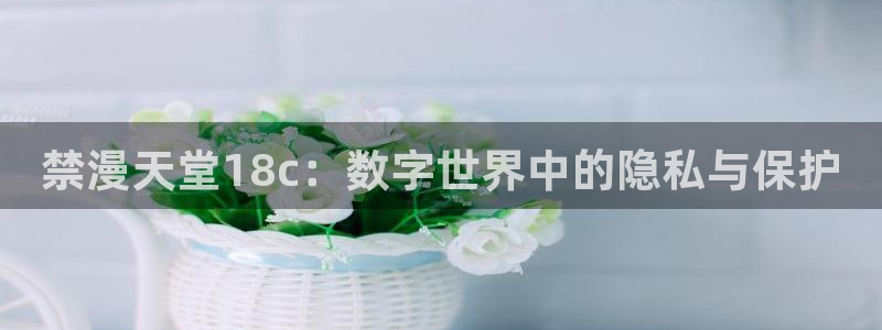 omofun下载最新：禁漫天堂18c：数字世界中的隐私与保护