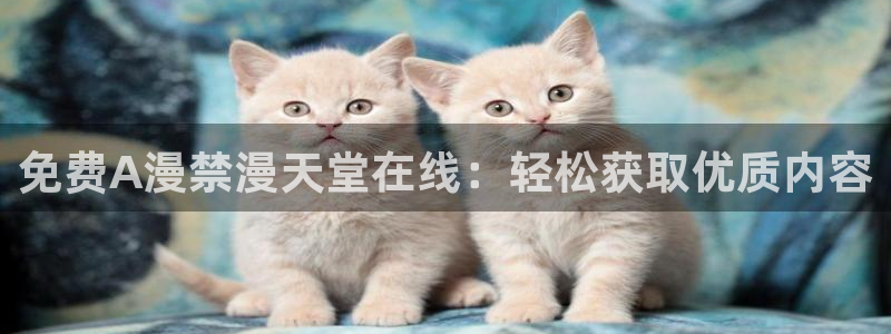 omofun网页版免费：免费A漫禁漫天堂在线：轻松获取优质内容