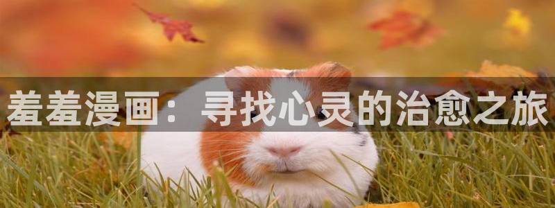 omofun动漫下载最新：羞羞漫画：寻找心灵的治愈之旅